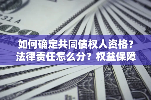 北京如何确定共同债权人资格？法律责任怎么分？权益保障技巧揭秘！