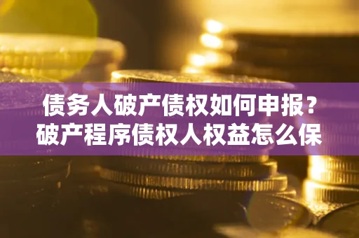 北京债务人破产债权如何申报？破产程序债权人权益怎么保障？