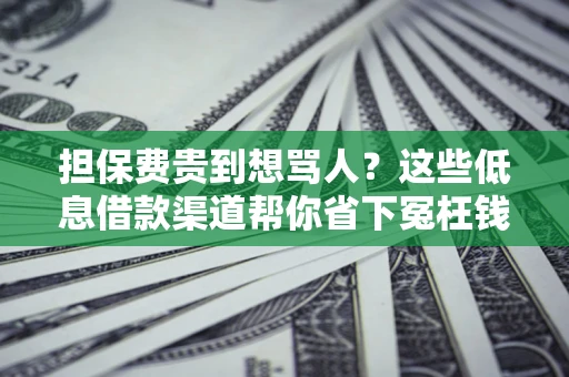 北京担保费贵到想骂人？这些低息借款渠道帮你省下冤枉钱