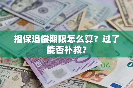 北京担保追偿期限怎么算？过了能否补救？